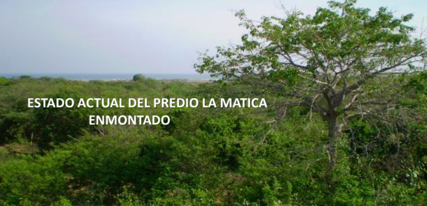 Lotes La Matica Cartagena