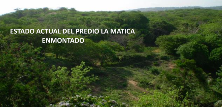 Lotes La Matica Cartagena